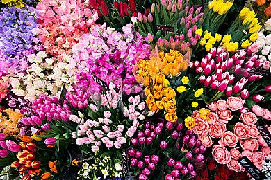 传闻：下一个《FIFA》游戏由2K打造